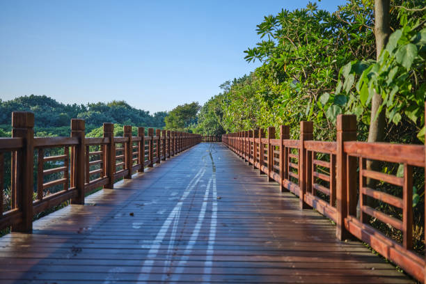 Wooden boardwalk entrance to the Indian River lagoon Florida, USA.