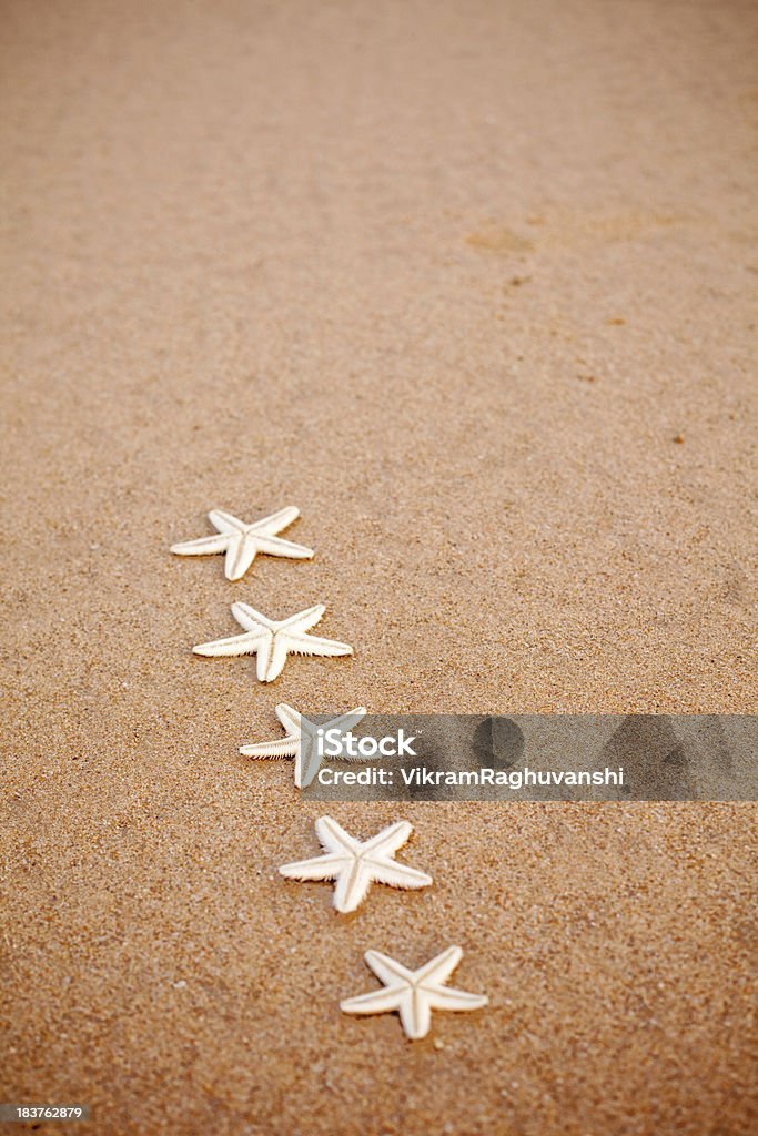 Five Star Fish nominal símbolo de la estrella de mar en la arena, Vertical - Foto de stock de Agua libre de derechos