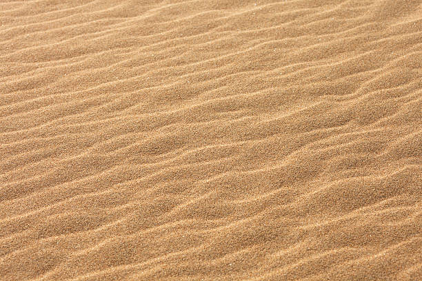 vagues de sable - sahara desert coastline wind natural pattern photos et images de collection