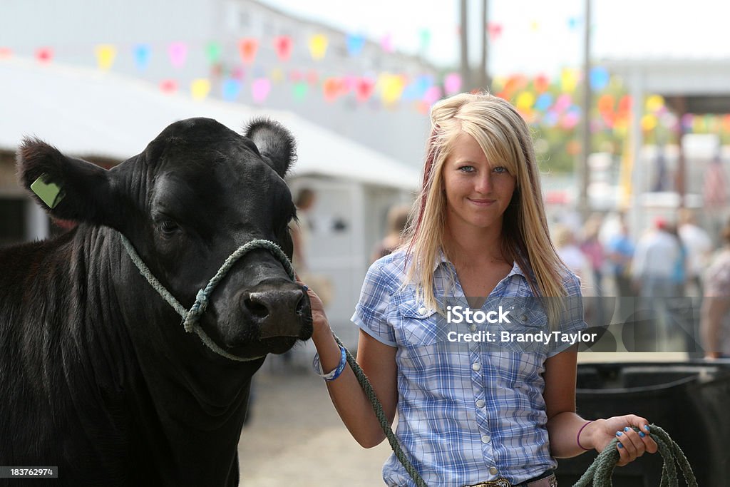 4 H taureau - Photo de Salon de l'agriculture libre de droits