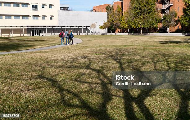 Tres Niñas En Campus Foto de stock y más banco de imágenes de Acera - Acera, Adolescente, Adulto joven