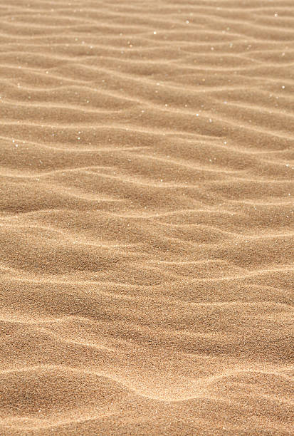 vagues de sable. - sahara desert coastline wind natural pattern photos et images de collection