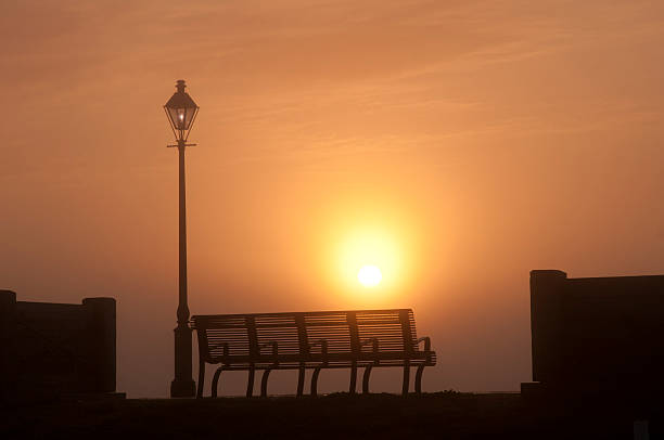Urban Park Bench & Street Light during sunrise burning off the fog in New Orleans