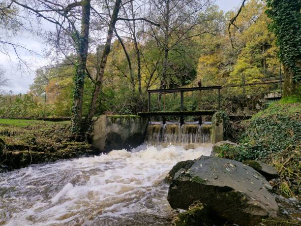 River water coming out a water mill and bubbling between rocks, automnal forest in background