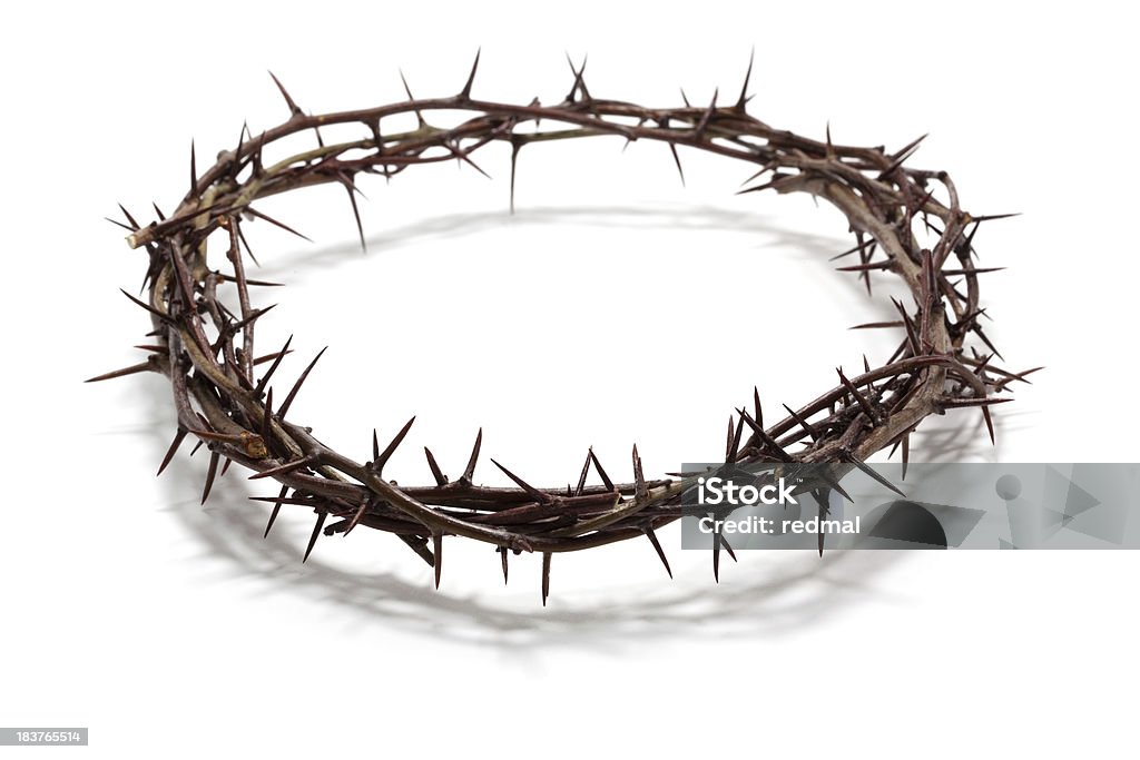 crown of thorns easter themed crown of thorns on white background Crown Of Thorns Stock Photo