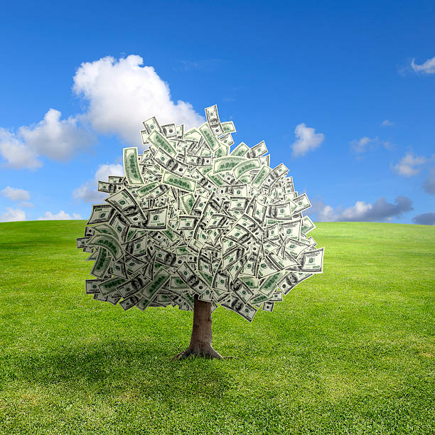 istock money tree on green landscape 183765585