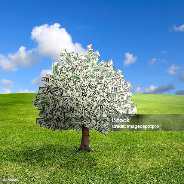 Árvore De Dinheiro No Verde Paisagem - Fotografias de stock e mais imagens de Ajardinado - Ajardinado, Ao Ar Livre, Aspiração