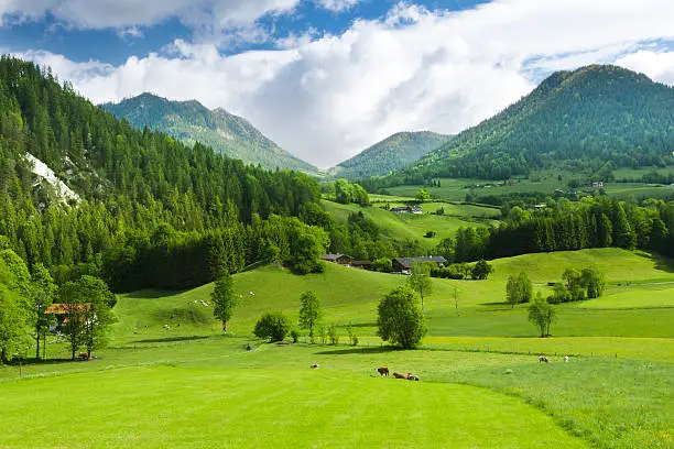 Photo of Green fields and mounatins