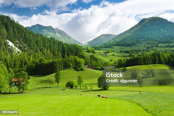 Zielone Pola I Mounatins - zdjęcia stockowe i więcej obrazów Góra - Góra, Krajobraz, Zielony kolor