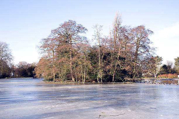 istock Frozen Pond in West Park, Wolverhampton 183766238
