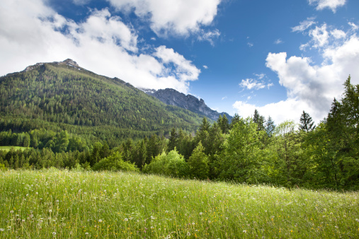 Beautiful mountain valley on a sunny summer day. Walking in the mountains. Green meadow. Nature background