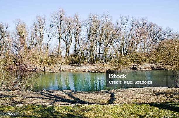 River Stockfoto und mehr Bilder von Abenddämmerung - Abenddämmerung, Baum, Beengt