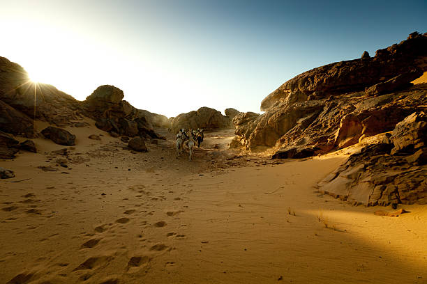 istock Desert evening camel caravan in Libyan Sahara 183766973
