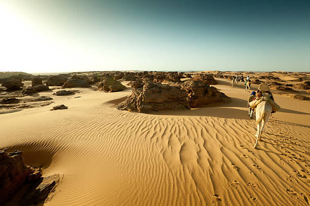 istock Desert evening camel caravan in Libyan Sahara 183767113
