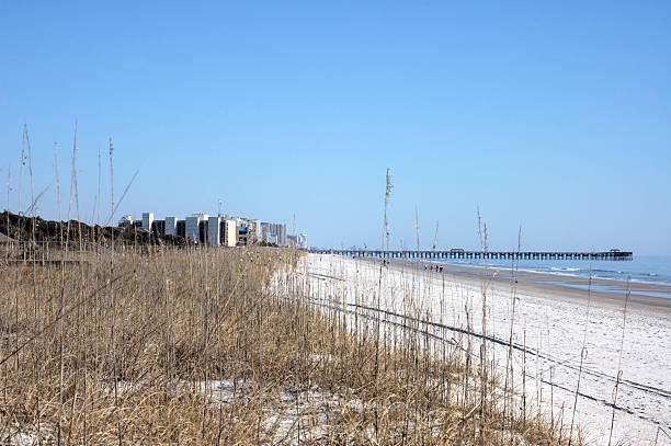 istock Myrtle Beach Morning Walkers 183767256