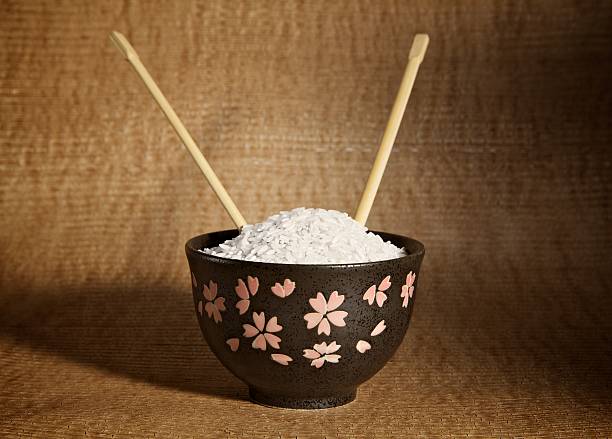 Rice Bowl