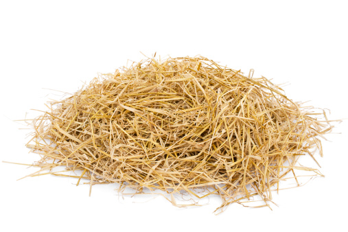Golden yellow hay against a 255 pure white surround. There is light shadow within the lower strands to avoid a floating look. There are companion images: