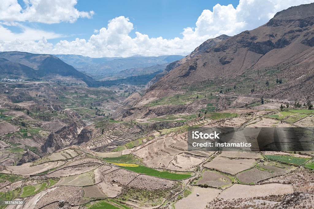 Colca Canyon in Peru - Lizenzfrei Anden Stock-Foto