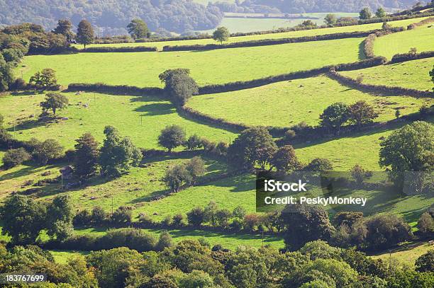 Rolling Green Hills English Landscape Stock Photo - Download Image Now - Agricultural Field, Agriculture, Beauty In Nature