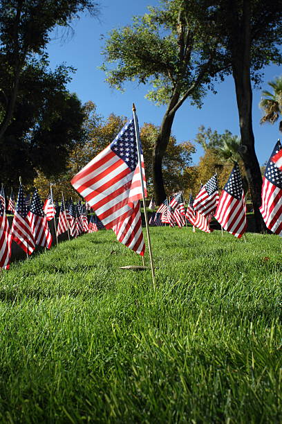 istock Memorial Day Flags Blow in Wind 183767730