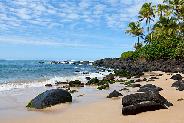 żółwiowa plaża, hawaje - north shore hawaii islands usa oahu zdjęcia i obrazy z banku zdjęć