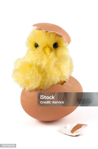 A Cute Yellow Chick Is Breaking Out Of A Brown Eggshell Stock Photo - Download Image Now