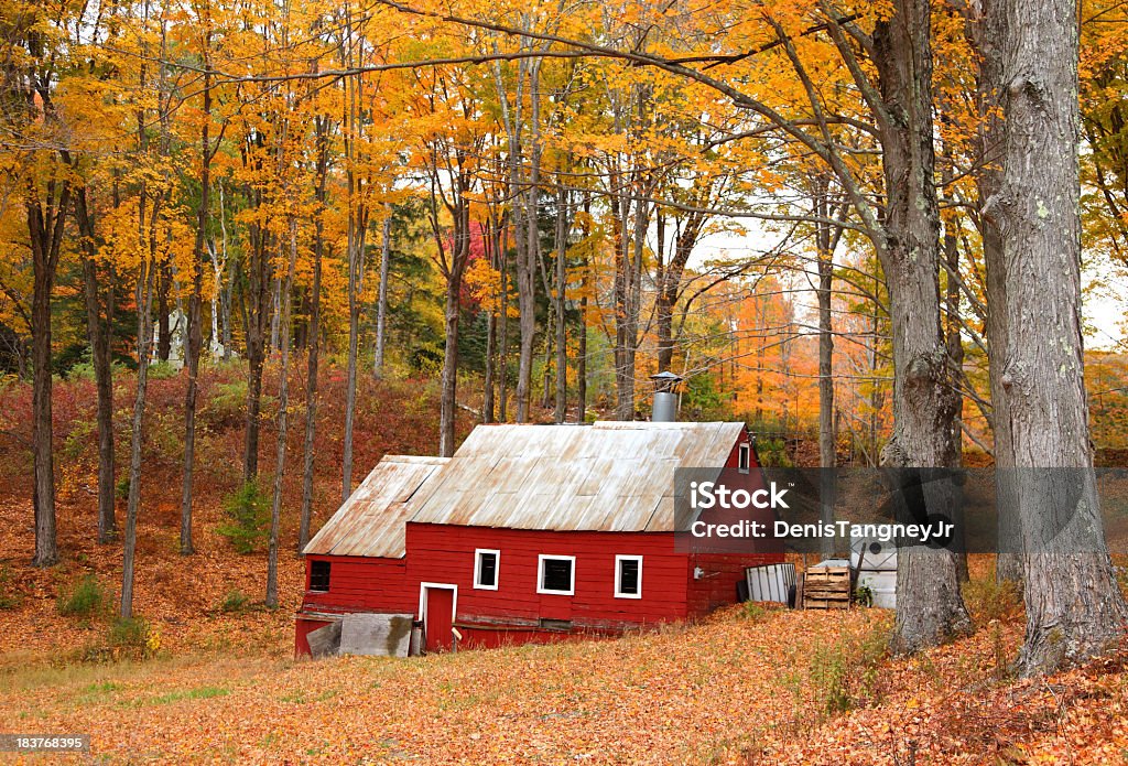ニューイングランド地方の秋 - ニューイングランド - アメリカ合衆国のロイヤリティフリーストックフ��ォト