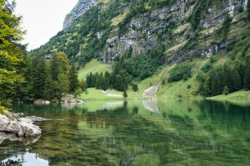 Serene scenic of Seealpsee mountain lake reflection in Alpstein mountain range during summer at Appenzell, Switzerland