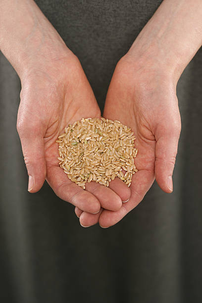 Offering Hands with Brown Rice "Rustic, unaltered, and unadorned woman's hands holding genmai (brown rice) in an offering fashion." genmai stock pictures, royalty-free photos & images