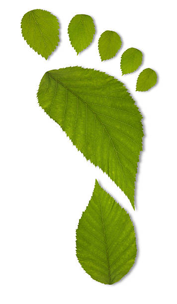 de hoja verde concepto de huella de carbono - carbon dioxide environment leaf climate fotografías e imágenes de stock