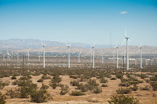 In the desert of Arizona a windmill farm generates electricity. Focus on foreground windmills.