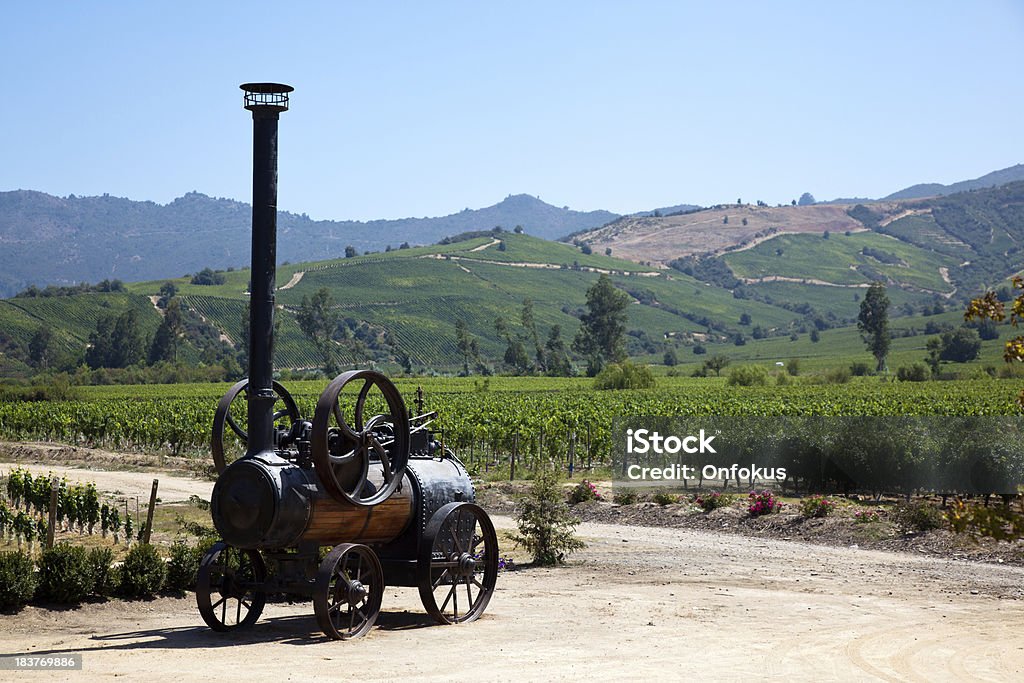 Vineyards in Chile Winery, Colchagua Valley, Chile Chile Stock Photo
