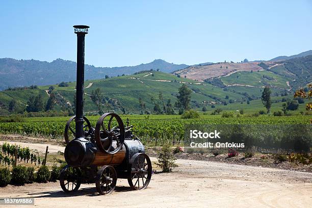 Vineyards In Chile Stock Photo - Download Image Now - Chile, Vineyard, Colchagua