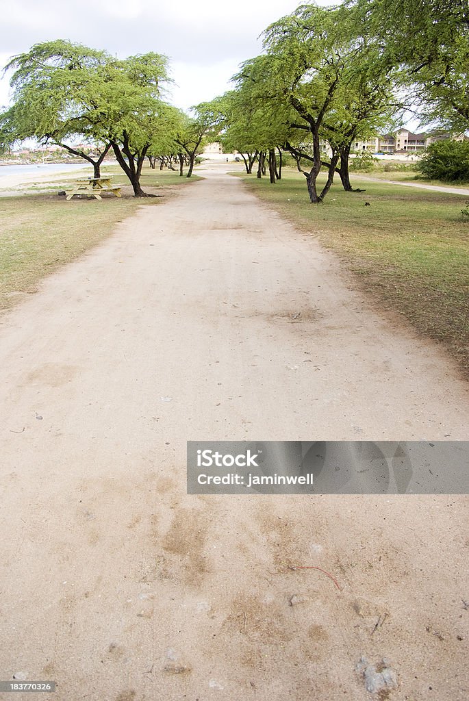 Sujidade caminho acompanhado por árvores no parque - Royalty-free Ao Ar Livre Foto de stock