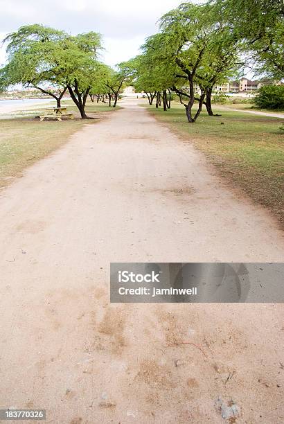 Sujidade Caminho Acompanhado Por Árvores No Parque - Fotografias de stock e mais imagens de Ao Ar Livre - Ao Ar Livre, Beleza, Beleza natural