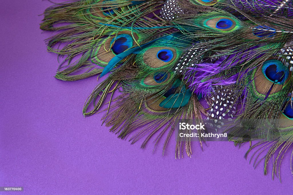 Coloridas penas - Royalty-free Iridescente Foto de stock