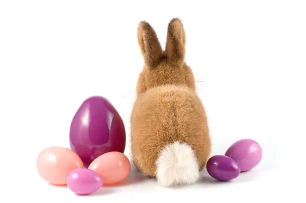 Photo of Easter bunny and eggs