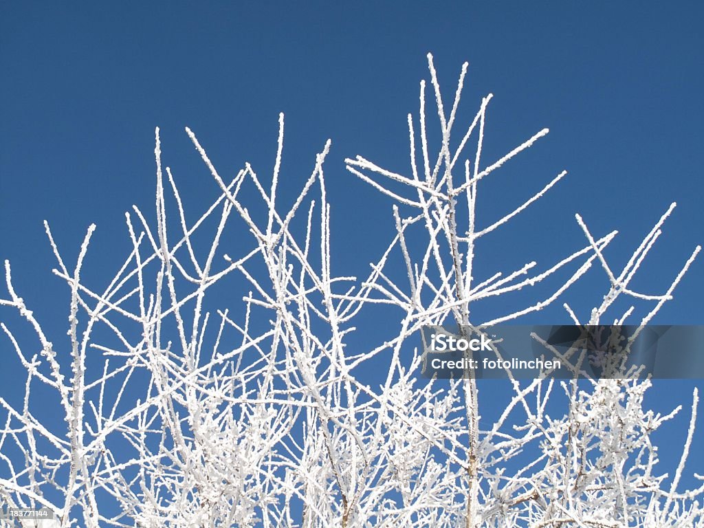 Winter - Lizenzfrei Eingefroren Stock-Foto