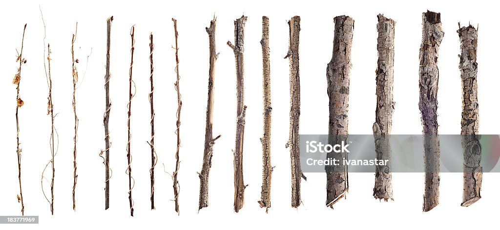 Twigs et bâtons isolé sur blanc - Photo de En bois libre de droits