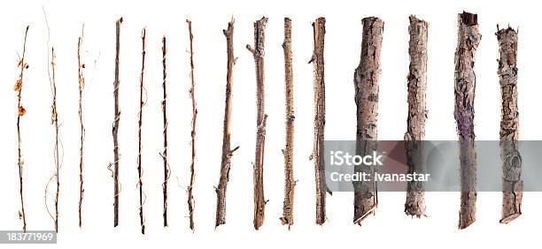 Photo libre de droit de Twigs Et Bâtons Isolé Sur Blanc banque d'images et plus d'images libres de droit de En bois - En bois, Objet ou sujet détouré, Branche - Partie d'une plante