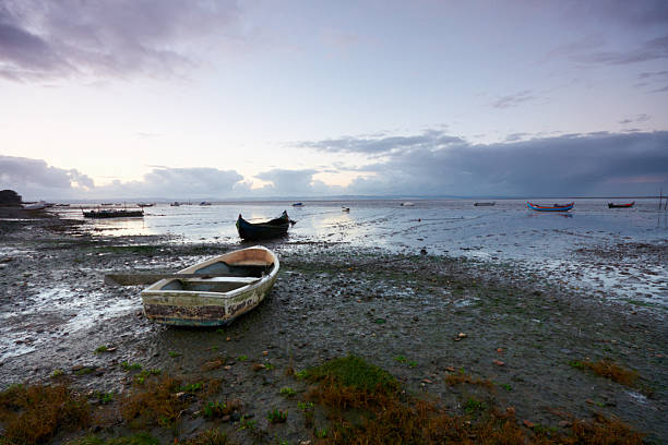 istock Boats at Low Tide 183771997