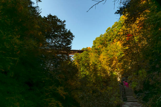 Waterfalls under bridge along the Gorge Trail in Stony Brook State Park in New York in Autumn
