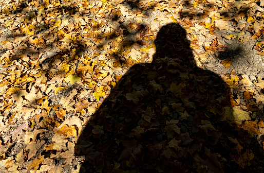 Autumn in Watkins Glen State Park, near Seneca Lake, New York State, USA.  A shadow of a person on fallen leaves.