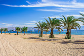 shore line sand of Red sea beach vacation resort style photography touristic concept sunny scenic view with water and palm trees