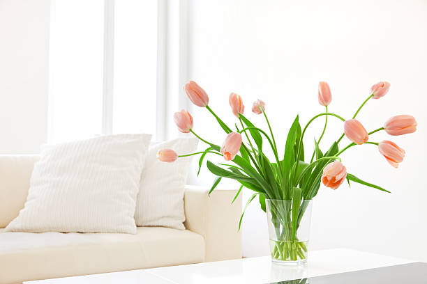 moderne wohnzimmer - indoors window elegance tranquil scene stock-fotos und bilder