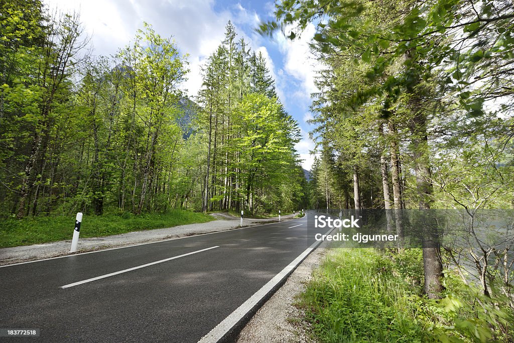 Camino a través de los Alpes alemán - Foto de stock de Aire libre libre de derechos