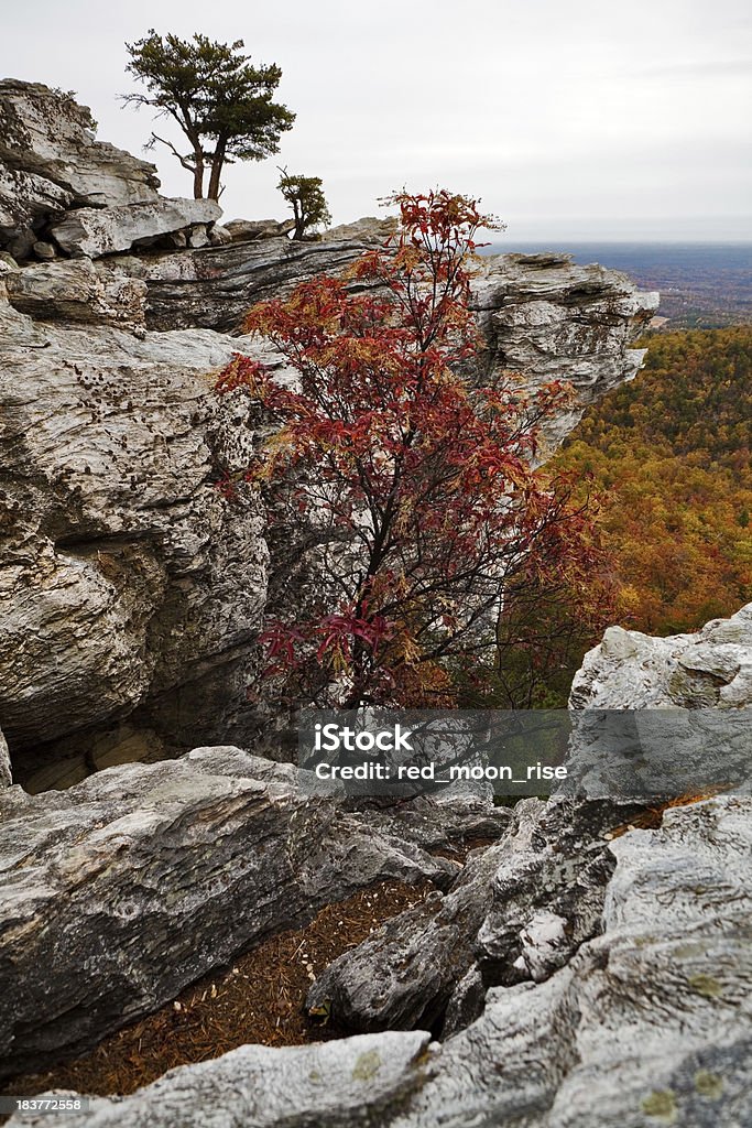 Carolina do Norte de Outono a pendurar Rock State Park - Royalty-free Carolina do Norte - Estado dos EUA Foto de stock