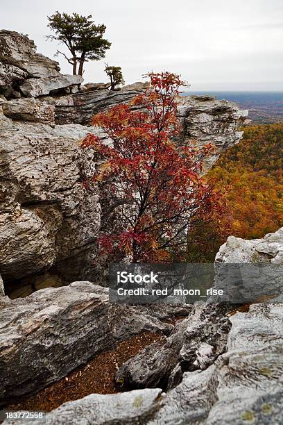 Carolina Do Norte De Outono A Pendurar Rock State Park - Fotografias de stock e mais imagens de Carolina do Norte - Estado dos EUA