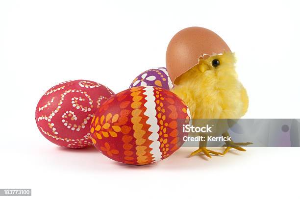 Chick Und Ostern Eier Stockfoto und mehr Bilder von Ostern - Ostern, Hühnerküken, Huhn - Geflügel