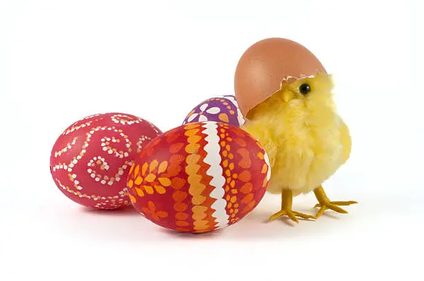 Photo of Chick and easter eggs